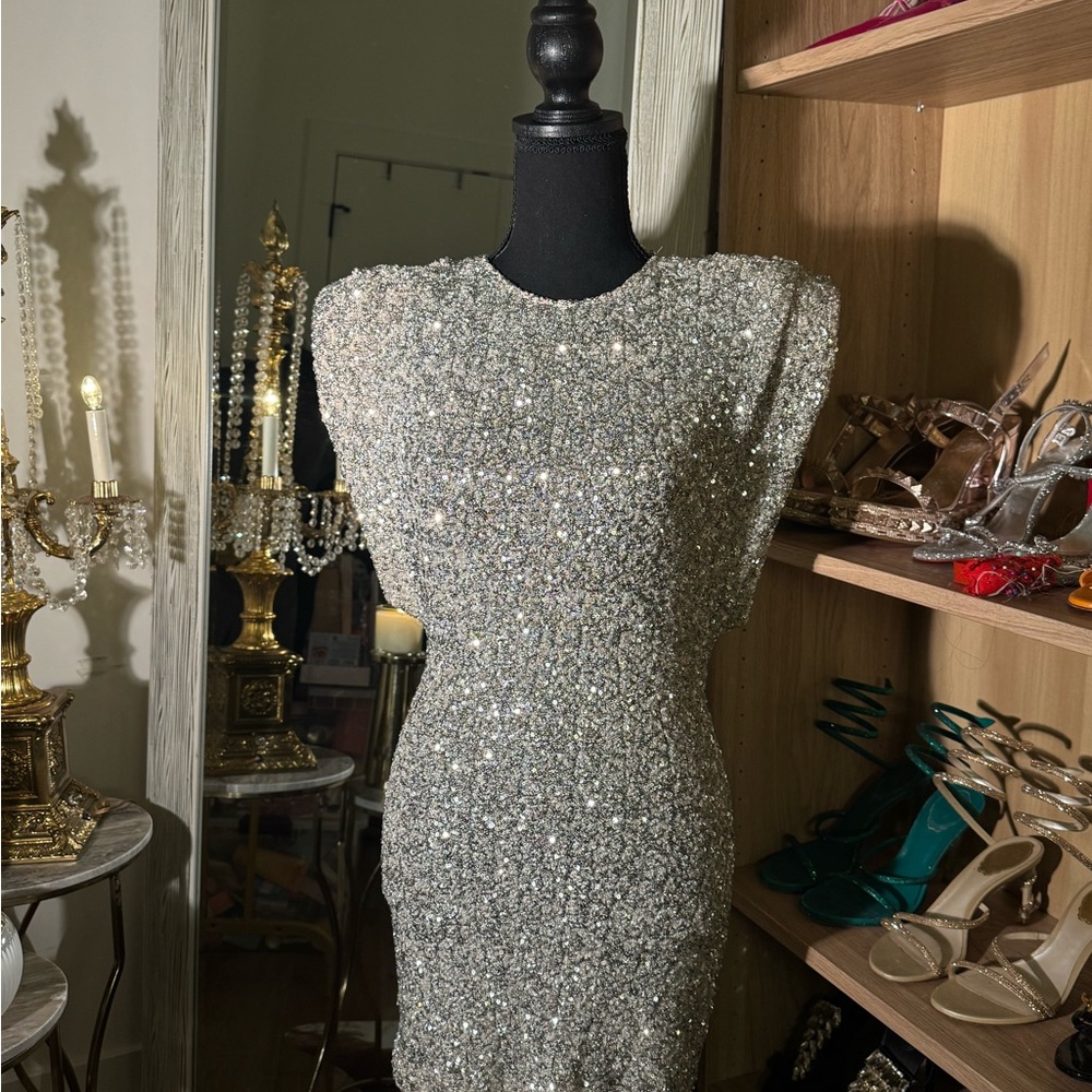 Zara Never Worn - Elegant Silver Sequin Dress